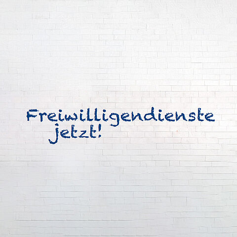 freiwilligendienste jetzt