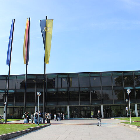 IMG 0667